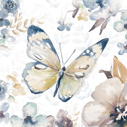 Framed Butterfly Beauty II Print