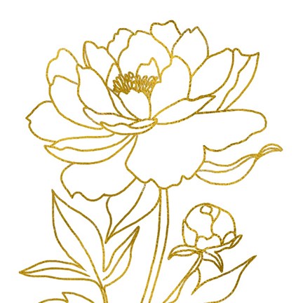 Framed Gold Floral IV Print