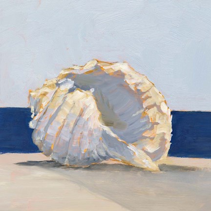 Framed Shell By the Shore II Print