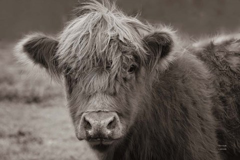 Framed Highland Cow Do Neutral Print