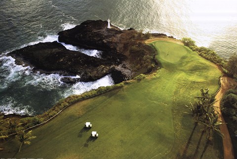 Framed Golf Course, Hawaii Coast Print