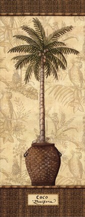 Framed Botanical Palm III Print