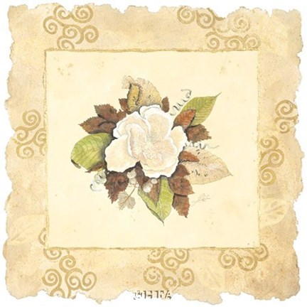 Framed Victorian Magnolia Print