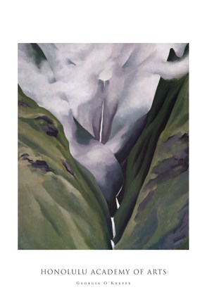 Framed Waterfall  No. III &#39;Iao Valley Print