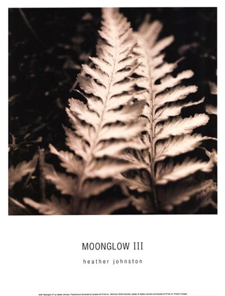 Framed Moonglow III Print