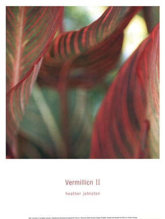 Framed Vermillion II Print