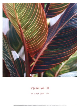 Framed Vermillion III Print
