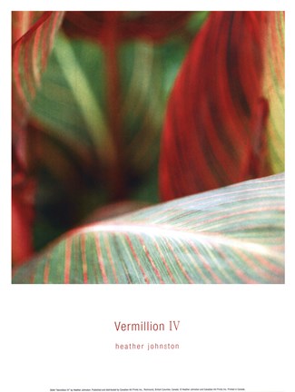 Framed Vermillion IV Print