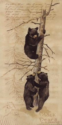 Framed Three Black Bears Print