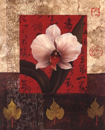 Framed White Chinese Orchid Print