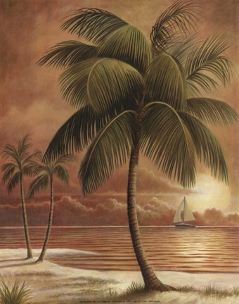 Framed Island Palm I Print