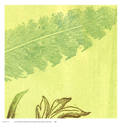 Framed Feather Leaf Print