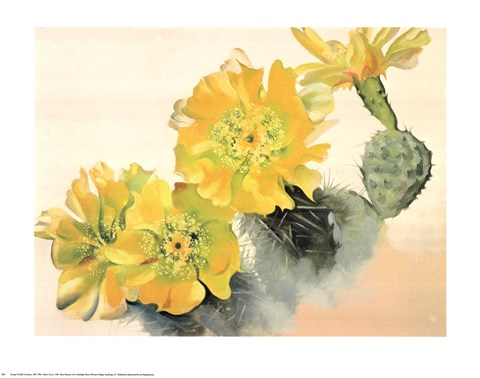 Framed Yellow Cactus Print