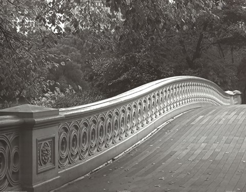 Framed Central Park Bridge Print
