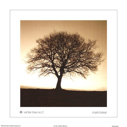 Framed Winter Tree No. 2 Print