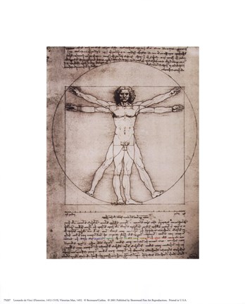 Framed Vitruvian Man, 1492 Print