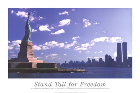 Framed Stand Tall for Freedom Print