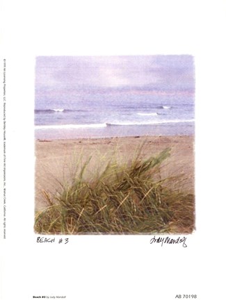 Framed Beach #3 Print