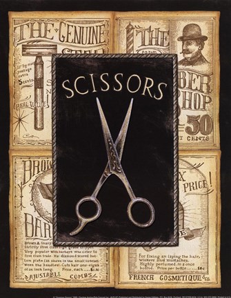 Framed Grooming Scissors Print