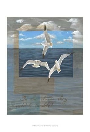 Framed Three White Gulls II Print