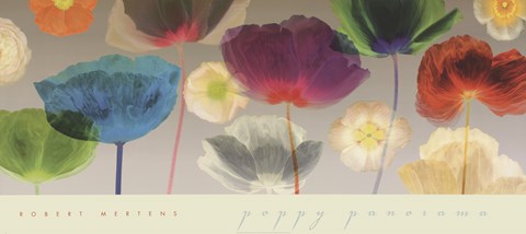 Framed Poppy Panorama Print