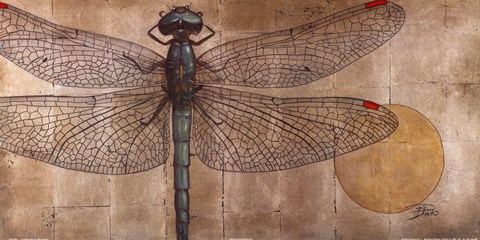 Framed Dragonfly On Silver Print