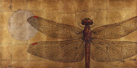 Framed Dragonfly On Gold Print