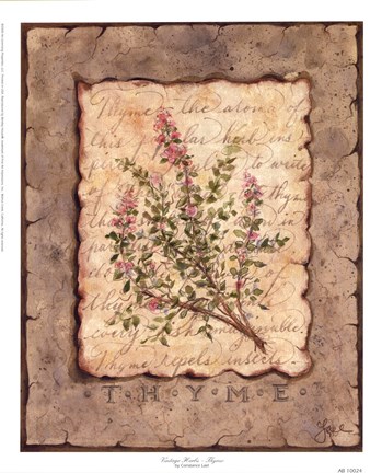 Framed Vintage Herbs - Thyme Print