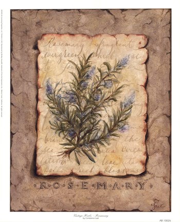 Framed Vintage Herbs - Rosemary Print