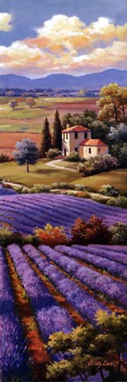 Framed Fields Of Lavender I Print