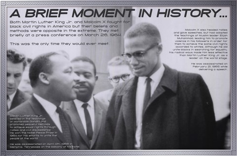 Framed Famous Americans - Black History 6 Print