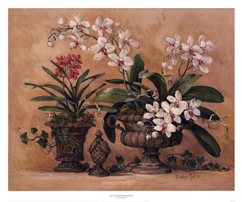 Framed Orchid Renaissance Print