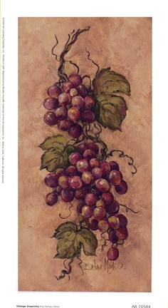 Framed Vintage Grapevine l Print