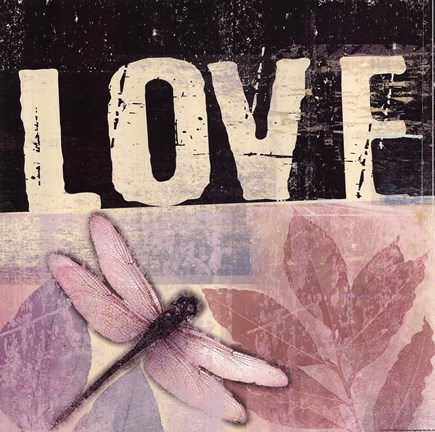 Framed Love - Dragonfly Print