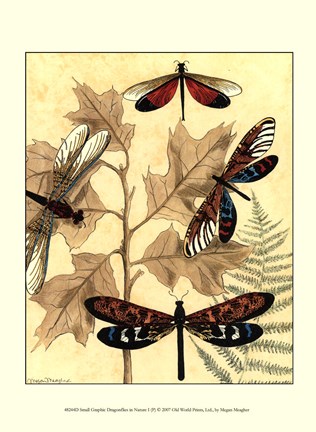 Framed Sm. Graphic Dragonflies I (P) Print