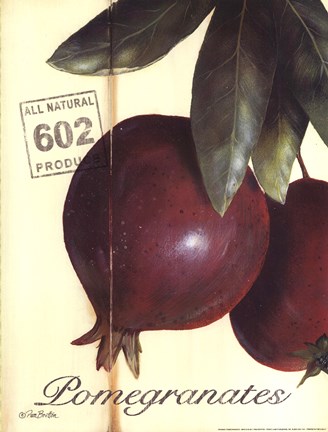 Framed Organic Pomegranates Print
