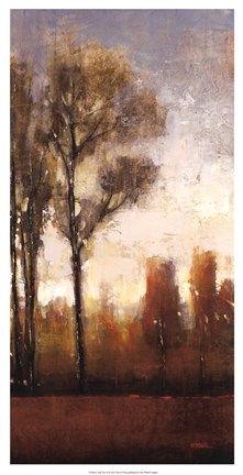 Framed Tall Trees II Print