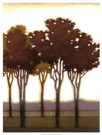 Framed Arboreal Grove II Print