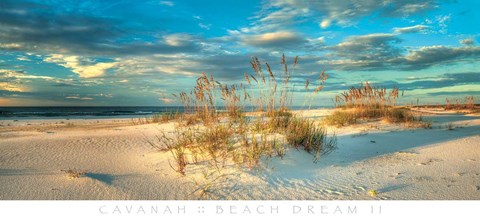 Framed Beach Dream II Print