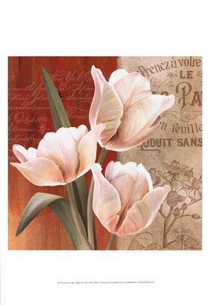 Framed French Tulip Collage II Print
