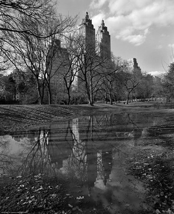 Framed Central Park Reflections Print