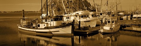 Framed Fishing boats in the sea, Morro Bay, San Luis Obispo County, California, USA Print