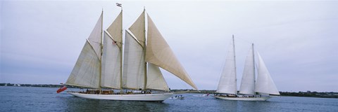 Framed Sailboats in the sea, Narragansett Bay, Newport, Newport County, Rhode Island, USA Print