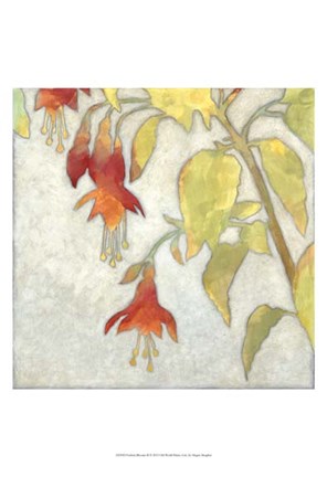 Framed Fuchsia Blooms II Print