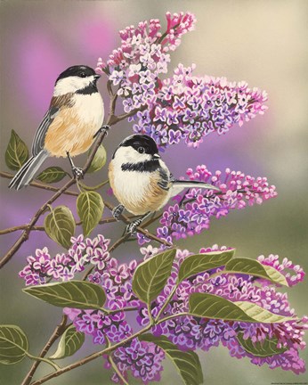Framed Lilacs and Chickadees Print