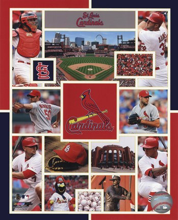 Framed St. Louis Cardinals 2015 Team Composite Print
