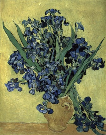 Framed Irises(1890) Print