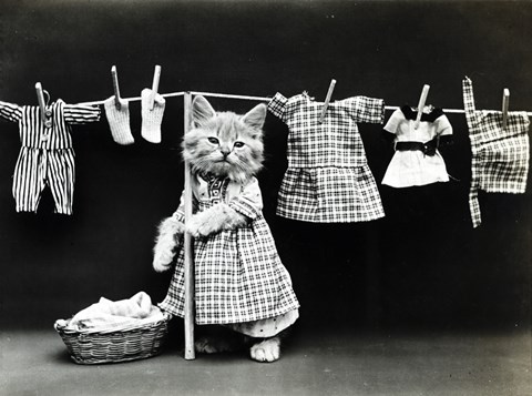 Framed Kitty Laundry Print