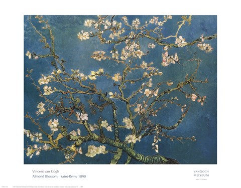 Framed Almond Blossom Print