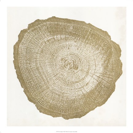 Framed Tree Ring IV Print
